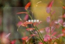 uv是啥意思