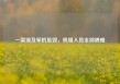 一架埃及军机坠毁，机组人员全部遇难