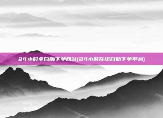 24小时全自助下单网站(24小时在线自助下单平台)
