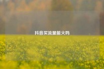 抖音买流量能火吗