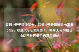 联通19元无限流量卡，联通19元无限流量卡套餐介绍，联通19元无限流量卡，畅享无尽网络自由亿乐社区低价自营货源站