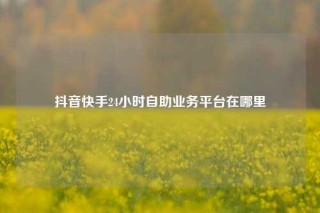 抖音快手24小时自助业务平台在哪里