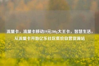 流量卡，流量卡移动19元200g大王卡，智慧生活，从流量卡开始亿乐社区低价自营货源站