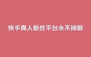 快手真人粉丝平台 永不掉粉 - 快手粉丝平台，绝对稳定永不流失！