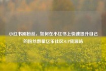 小红书刷粉丝，如何在小红书上快速提升自己的粉丝数量亿乐社区SUP货源站