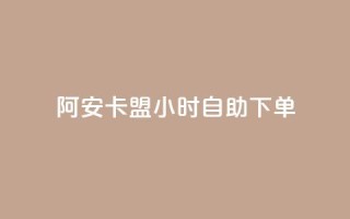阿安卡盟24小时自助下单 - 24小时自助下单！阿安卡盟订单便捷！！