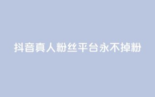 抖音真人粉丝平台 永不掉粉 - 抖音粉丝平台：畅享稳定粉丝，永远不失粉！~