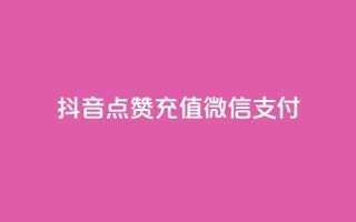 抖音点赞充值微信支付 - 抖音点赞如何通过微信支付进行充值~