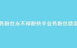 快手业务粉丝永不掉粉(快手业务粉丝稳定不流失)