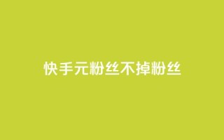 快手1元3000粉丝不掉粉丝 - 快手1元获取3000粉丝确保不掉粉！