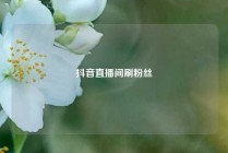 抖音直播间刷粉丝