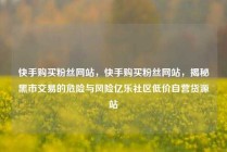 快手购买粉丝网站，快手购买粉丝网站，揭秘黑市交易的危险与风险亿乐社区低价自营货源站