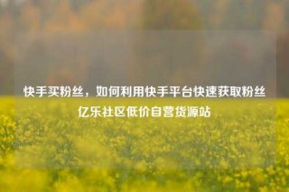 快手买粉丝，如何利用快手平台快速获取粉丝亿乐社区低价自营货源站
