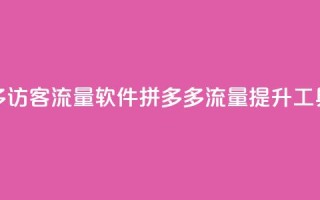 拼多多访客流量软件(拼多多流量提升工具解析)