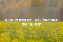 花290多万维修保质期仅一年多？媒体四问凤阳鼓楼“瓦片脱落”