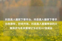 抖音真人播放下单平台，抖音真人播放下单平台有哪些，好戏开场，抖音真人直播带货的火爆现状与未来展望亿乐社区SUP货源站