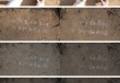 科学与艺术的跨界对话可能吗？——评“以蚁为序的生命网络”