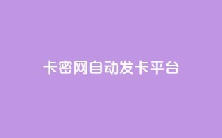 卡密网自动发卡平台 - 快手播放量推送软件