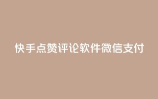 快手点赞评论软件微信支付 - 快手点赞评论软件支持微信支付！