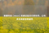 爱康科技（002610）拟被证监会行政处罚，公司多名高管连带被罚