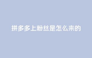 拼多多上粉丝是怎么来的,QQ空间点赞购买网址 - 空间秒赞免费下载 - 名片空间赞网站