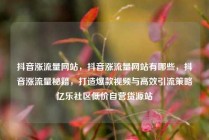 抖音涨流量网站，抖音涨流量网站有哪些，抖音涨流量秘籍，打造爆款视频与高效引流策略亿乐社区低价自营货源站