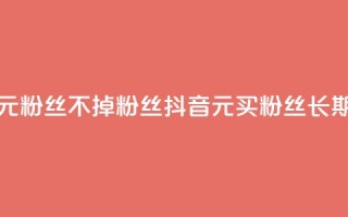 抖音1元3000粉丝不掉粉丝(抖音1元买3000粉丝长期稳定)