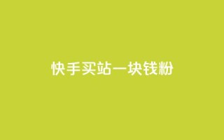 快手买站一块钱1000粉 - 快手一元购站轻松获千粉丝的方法揭秘！