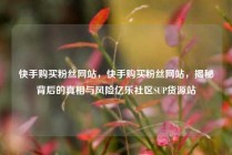 快手购买粉丝网站，快手购买粉丝网站，揭秘背后的真相与风险亿乐社区SUP货源站