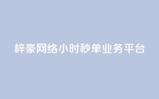 梓豪网络24小时秒单业务平台,闲鱼自助下单 - 快手b站粉丝一元1000个活粉 - 云小店QQ快手点赞