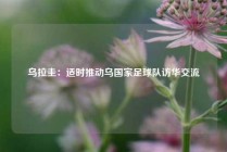 乌拉圭：适时推动乌国家足球队访华交流