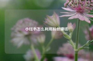 小红书怎么利用粉丝赚钱