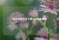 快手自助平台下单24小时最便宜