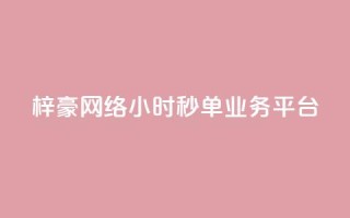 梓豪网络24小时秒单业务平台 - QQ访客量软件