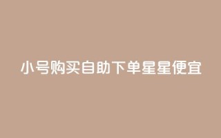 qq小号购买自助下单星星便宜,抖音充值官网链接 - 云小店24小时下单平台 - qq空间刷访客1元一万网站