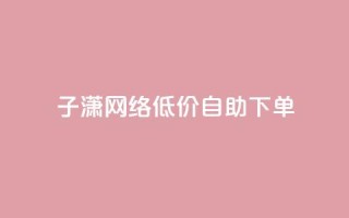 子潇网络低价自助下单 - 高性价比！自助下单经济实惠的子潇网络~