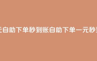 ks一元自助下单秒到账(KS自助下单一元秒到账)