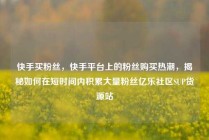 快手买粉丝，快手平台上的粉丝购买热潮，揭秘如何在短时间内积累大量粉丝亿乐社区SUP货源站