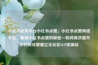 小红书业务平台小红书点赞，小红书点赞网络平台，解锁小红书点赞的秘密—如何高效提升你的粉丝数量亿乐社区SUP货源站