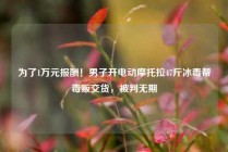 为了1万元报酬！男子开电动摩托拉47斤冰毒帮毒贩交货，被判无期