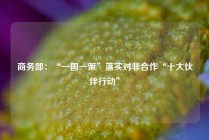 商务部：“一国一策”落实对非合作“十大伙伴行动”