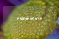 抖音涨粉网站自助下单