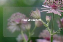 抖音外挂刷粉丝