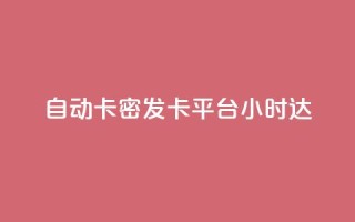 自动卡密发卡平台24小时达