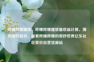 哔哩哔哩播放，哔哩哔哩播放量收益计算，薄荷绿的音符，探索哔哩哔哩的奇妙世界亿乐社区低价自营货源站