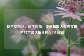 快手买粉丝，快手购粉，快速获取大量忠实用户的方法亿乐社区SUP货源站