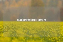 抖音刷业务自助下单平台
