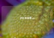 小红书接单app