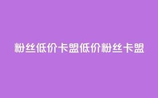 dy粉丝低价卡盟(低价dy粉丝卡盟)