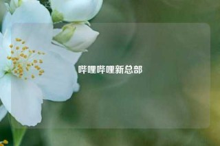 哔哩哔哩新总部